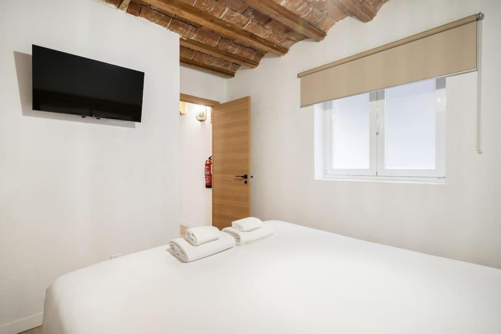 Apartment Flat In Lavapies At Street Level S23b *